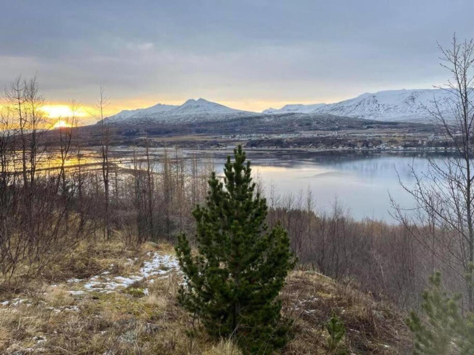 Cozy 2 Bedroom Cottage With Hot Tub Akureyri Exteriör bild